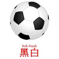 黑白 карточки энциклопедических знаний