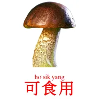 可食用 карточки энциклопедических знаний