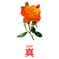 真 карточки энциклопедических знаний