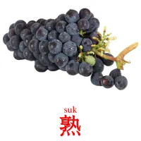 熟 карточки энциклопедических знаний