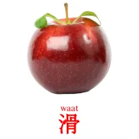 滑 карточки энциклопедических знаний