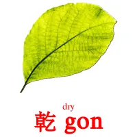 乾 gon cartes de vocabulaire