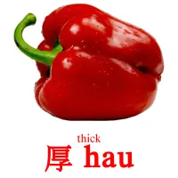 厚 hau cartes de vocabulaire