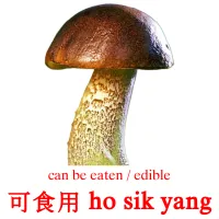 可食用 ho sik yang cartes de vocabulaire