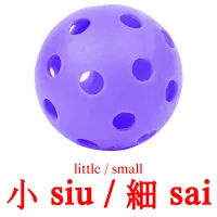 小 siu / 細 sai cartes de vocabulaire