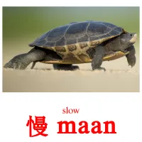 慢 maan cartes de vocabulaire