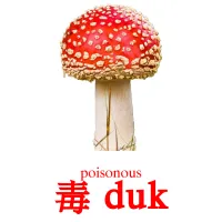 毒 duk cartes de vocabulaire
