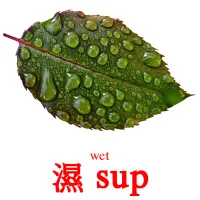 濕 sup cartes de vocabulaire