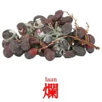 爛 карточки энциклопедических знаний