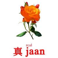 真 jaan cartes de vocabulaire