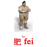 肥 fei cartes de vocabulaire