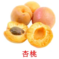 杏桃 Bildkarten für Kinder