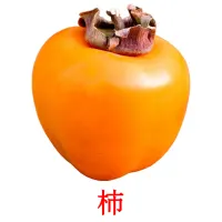 柿 Bildkarten für Kinder