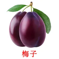 梅子 Bildkarten für Kinder