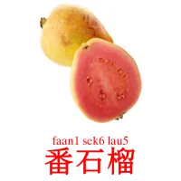 番石榴 Bildkarten für Kinder