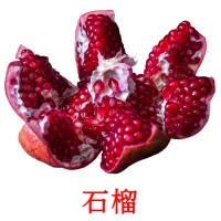 石榴 Bildkarten für Kinder