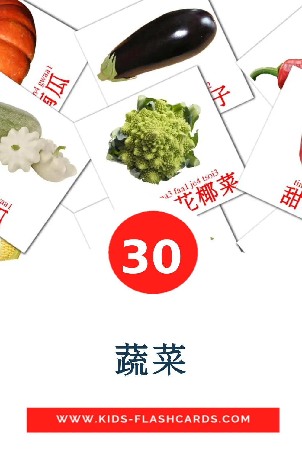 30 tarjetas didacticas de 蔬菜 para el jardín de infancia en russas