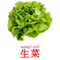 生菜 Tarjetas didacticas