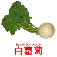 白蘿蔔 Tarjetas didacticas
