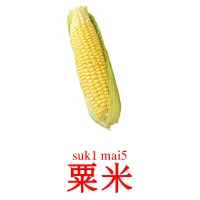 粟米 Tarjetas didacticas