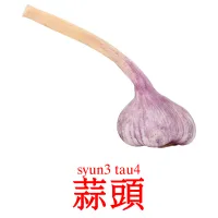 蒜頭 Tarjetas didacticas