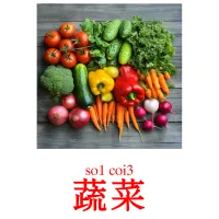 蔬菜 Tarjetas didacticas