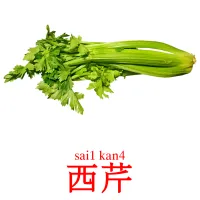 西芹 Tarjetas didacticas