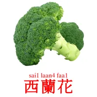 西蘭花 Tarjetas didacticas