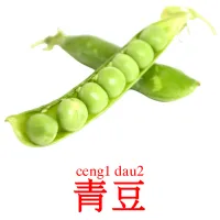 青豆 Tarjetas didacticas