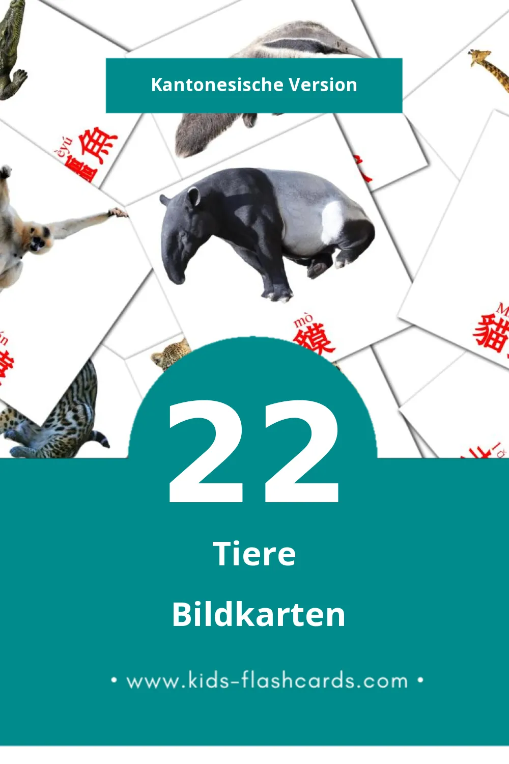 Visual 動物 Flashcards für Kleinkinder (22 Karten in Kantonesisch)