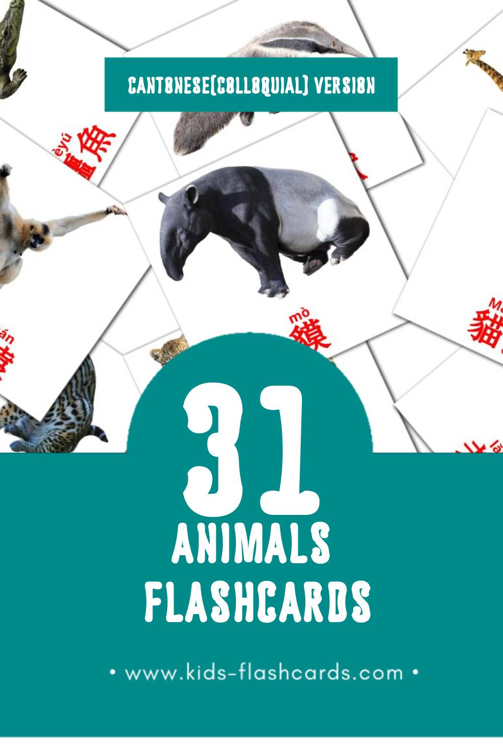 Visual 動物 Flashcards for Toddlers (21 cards in Cantonese(Colloquial))