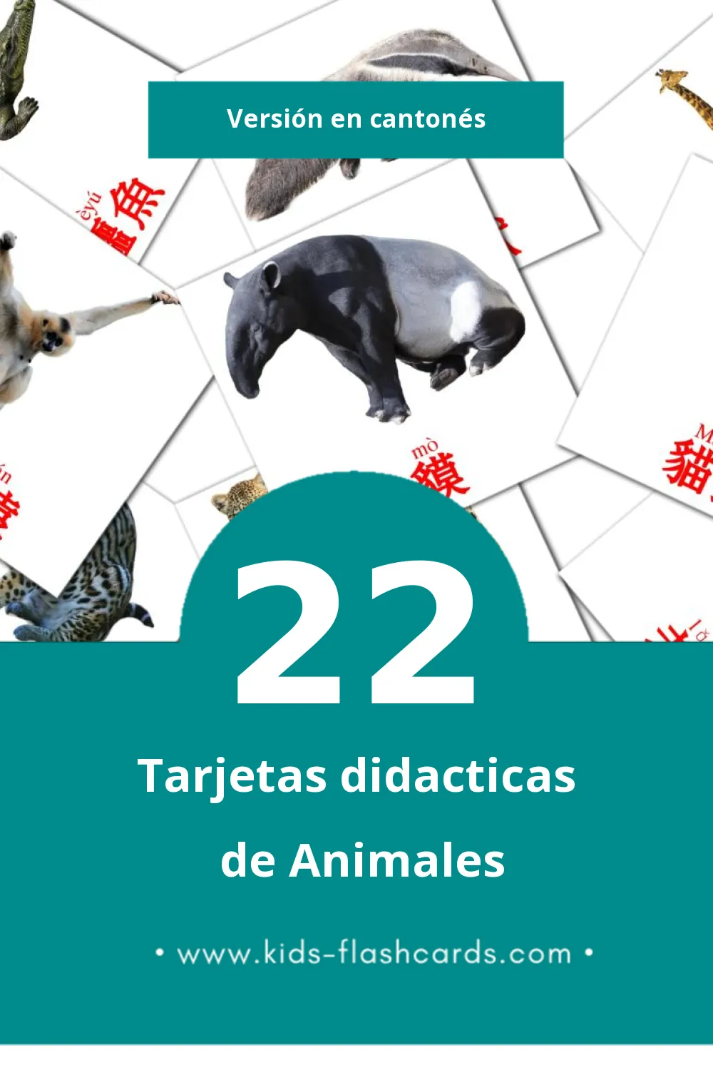 Tarjetas visuales de 動物 para niños pequeños (22 tarjetas en Cantonés)