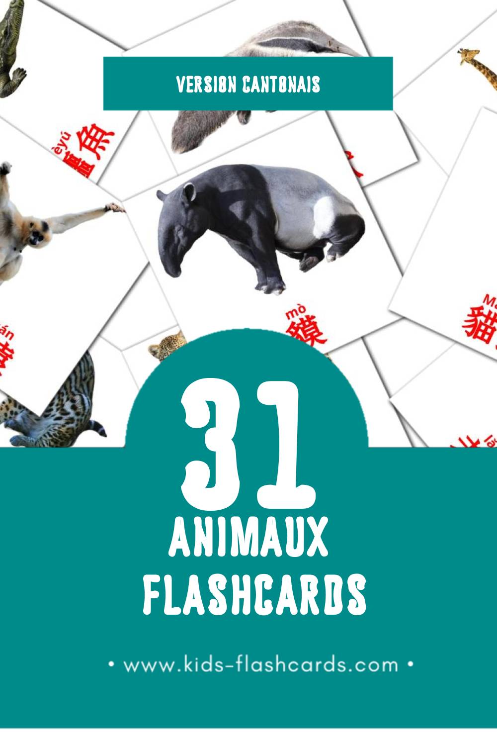 Flashcards Visual 動物 pour les tout-petits (21 cartes en Cantonais)