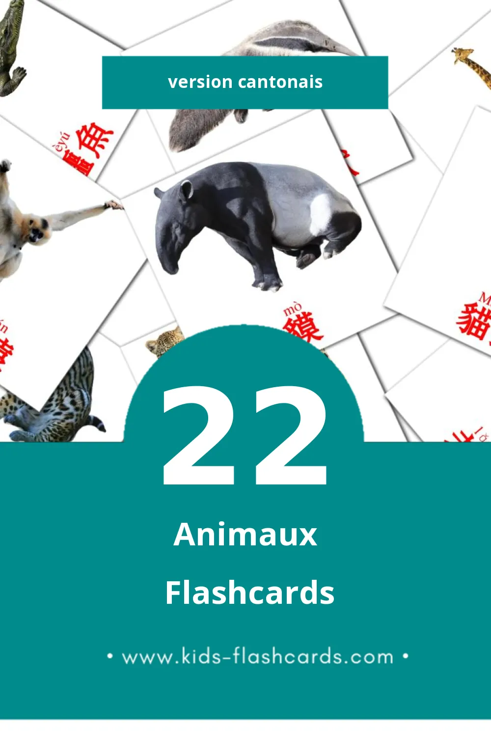 Flashcards Visual 動物 pour les tout-petits (22 cartes en Cantonais)