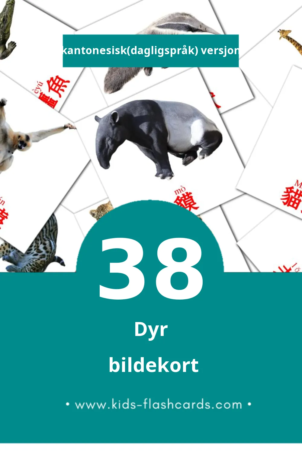 Visuelle 動物 bildekort for småbarn (38 kort på Kantonesisk(dagligspråk))