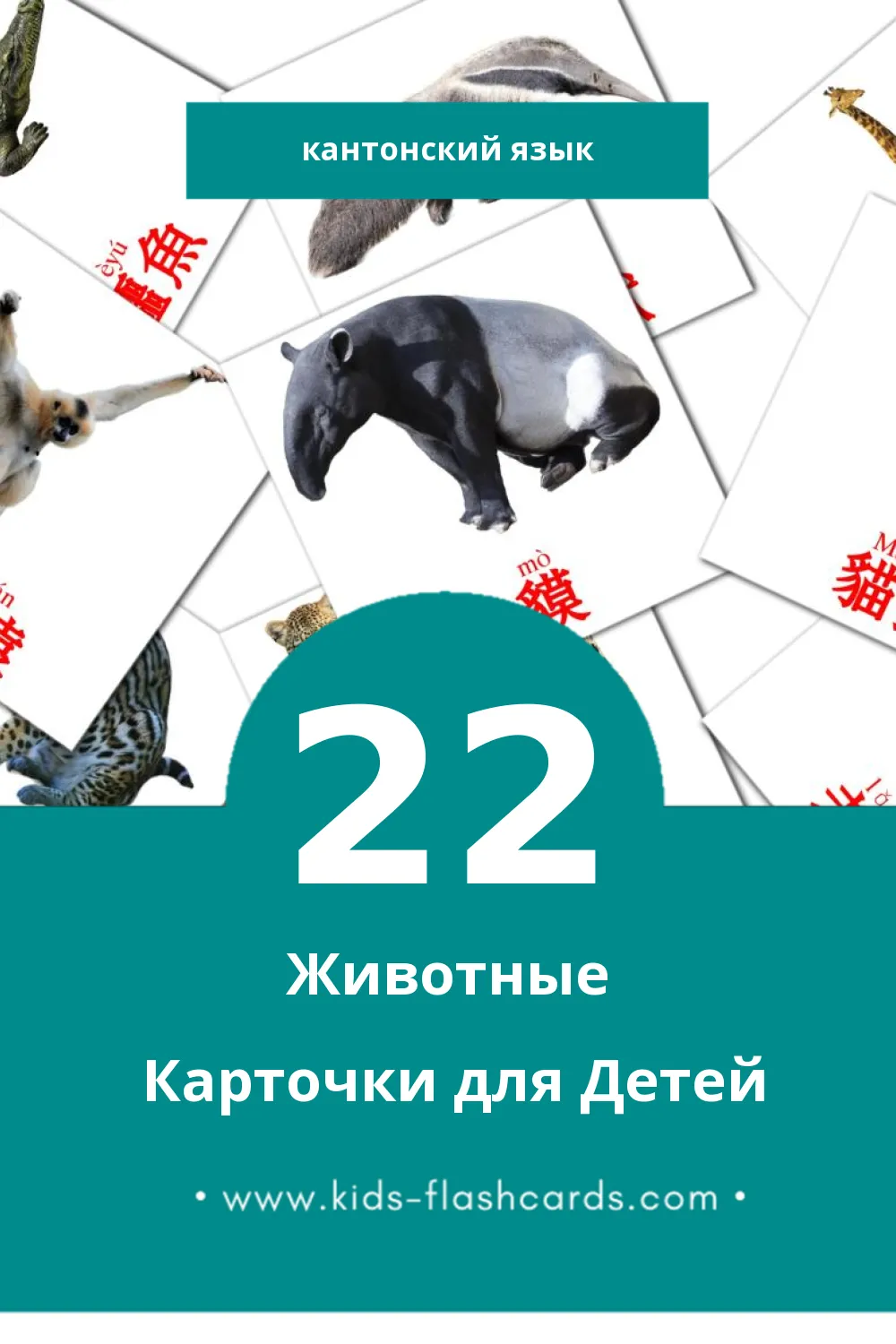 "動物" - Визуальный Кантонском Словарь для Малышей (22 картинок)