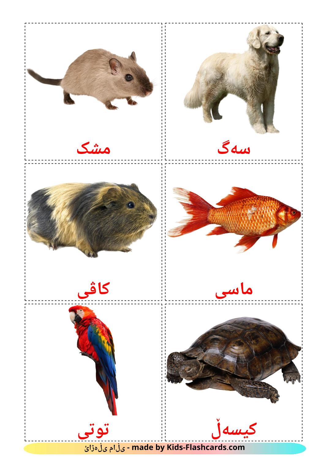 Domestic animals - 10 Free Printable kurdish(sorani) Flashcards 