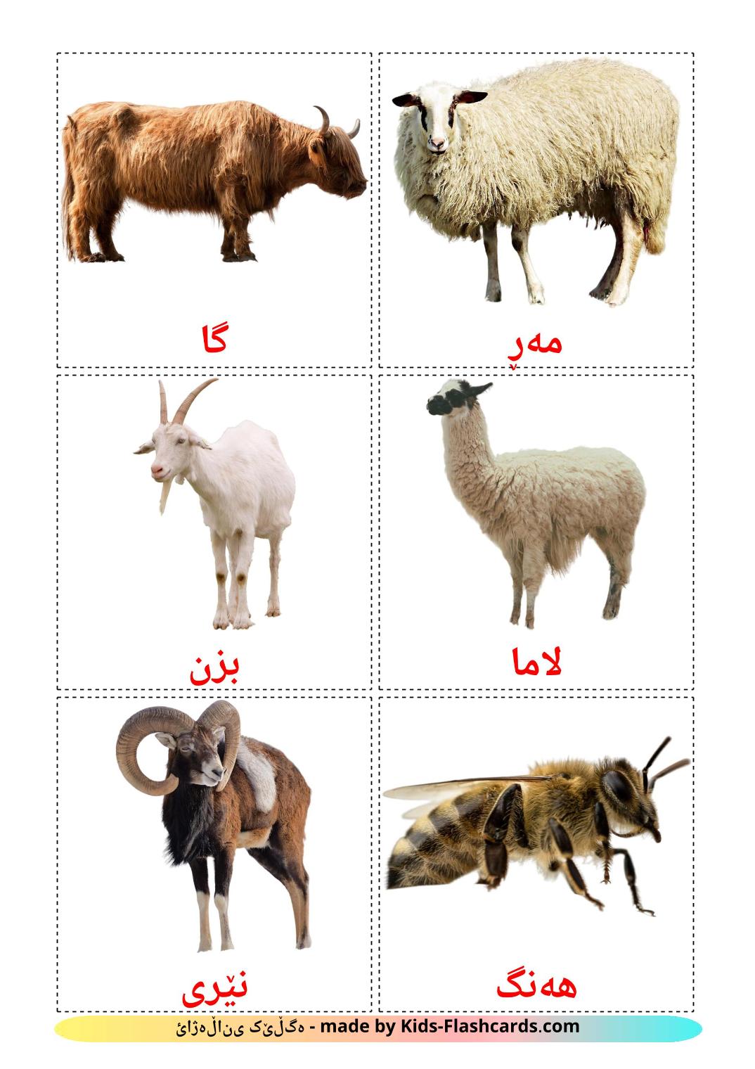 Farm animals - 15 Free Printable kurdish(sorani) Flashcards 
