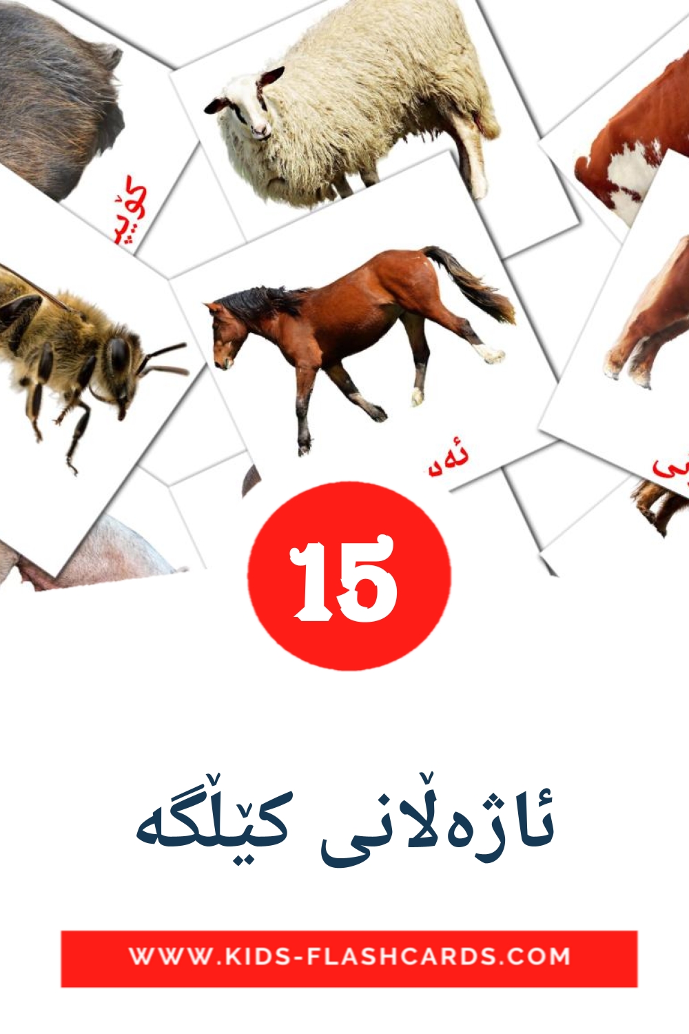 15 ئاژەڵانی کێڵگە Picture Cards for Kindergarden in kurdish(sorani)