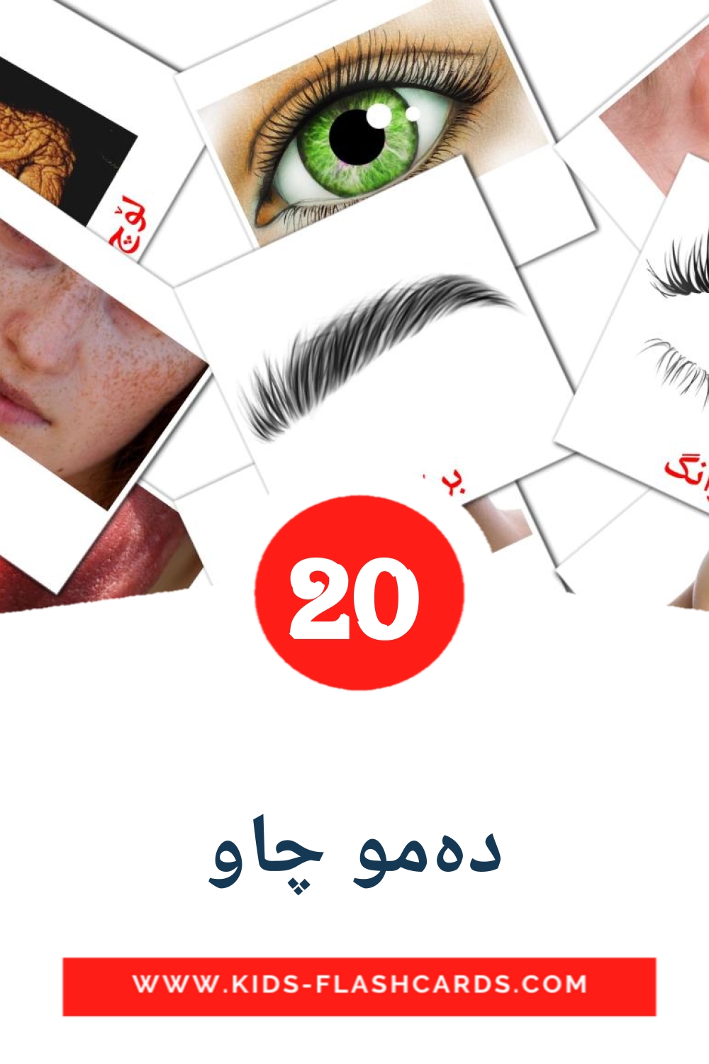 20 cartes illustrées de دەمو چاو pour la maternelle en kurde(sorani)