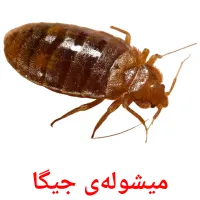 میشوله‌ی جیگا карточки энциклопедических знаний