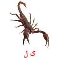 ک ل карточки энциклопедических знаний