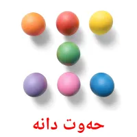 حەوت دانە Bildkarteikarten