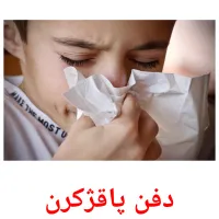 دفن پاقژکرن picture flashcards