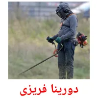 دورینا فریزى picture flashcards