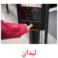 لیدان picture flashcards
