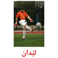 لێدان picture flashcards