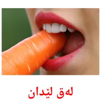 لەق لێدان picture flashcards