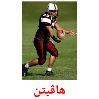 هاڤیتن picture flashcards