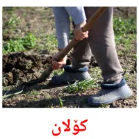 کۆلان picture flashcards